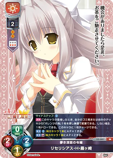 儚き深窓の令嬢