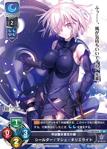 今は脆き雪花の壁
