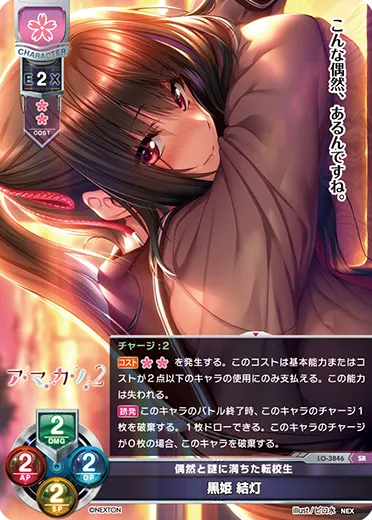 偶然と謎に満ちた転校生