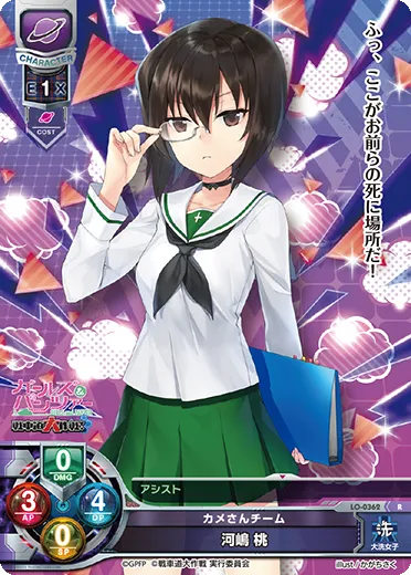 カメさんチーム