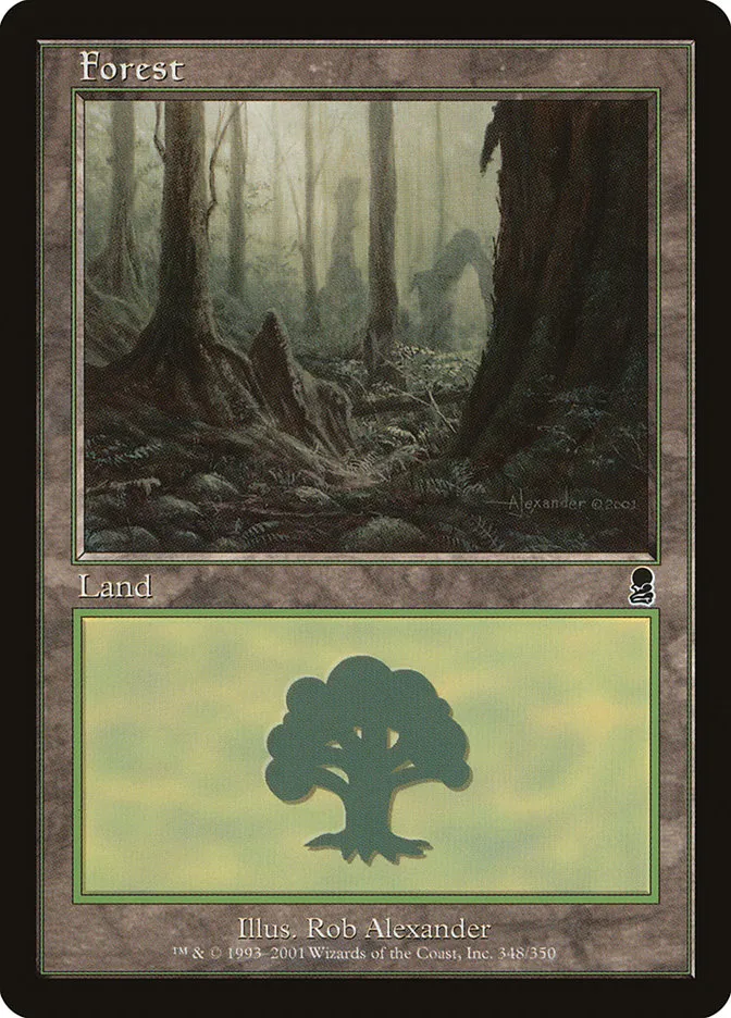 森