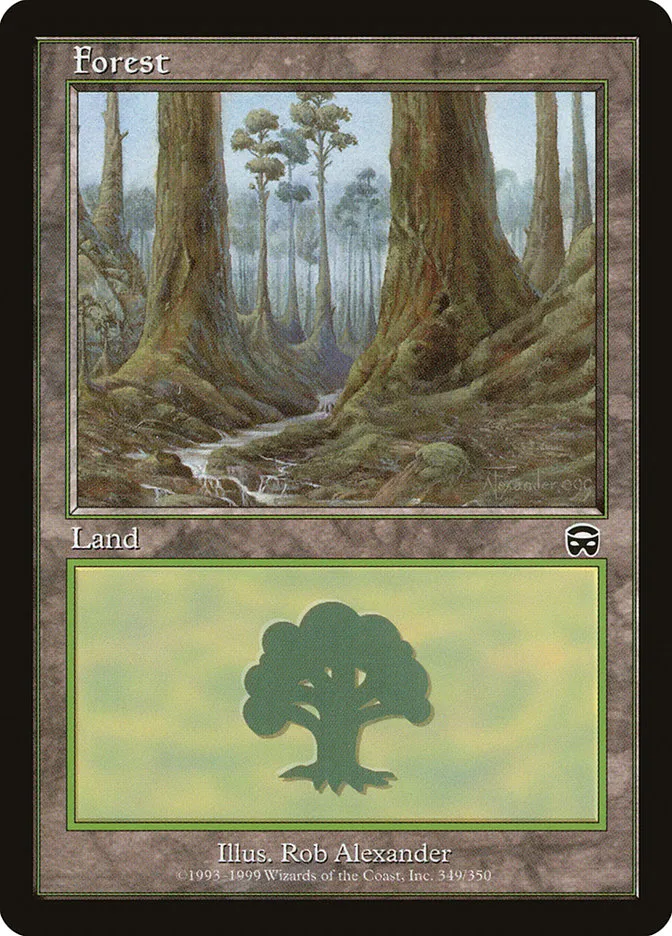 森