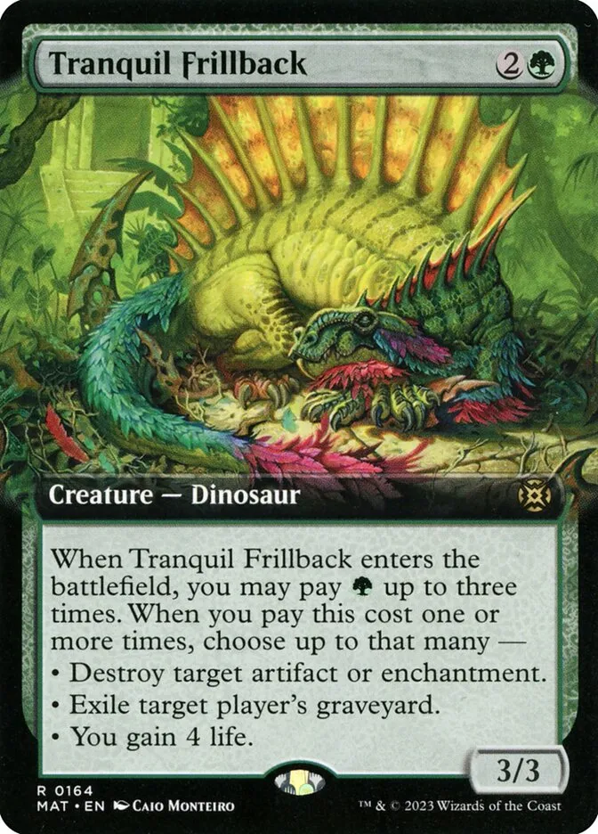温厚な襞背
