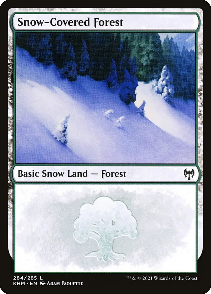 冠雪の森