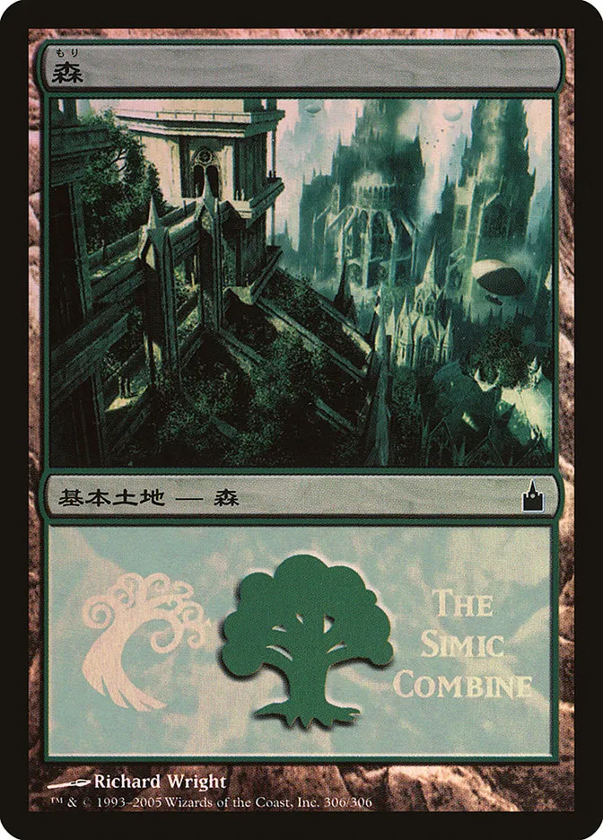 森