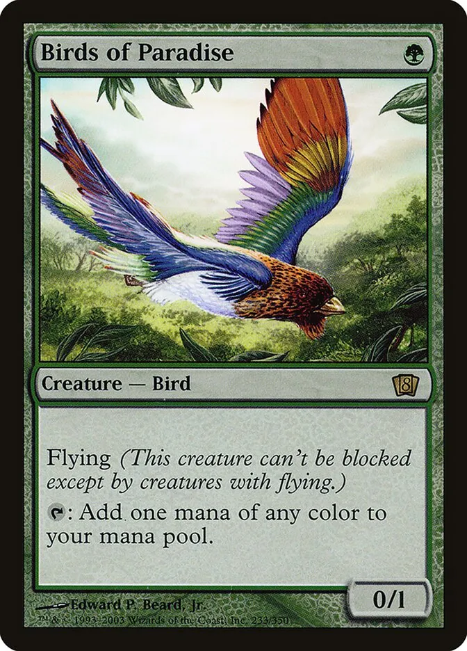 極楽鳥