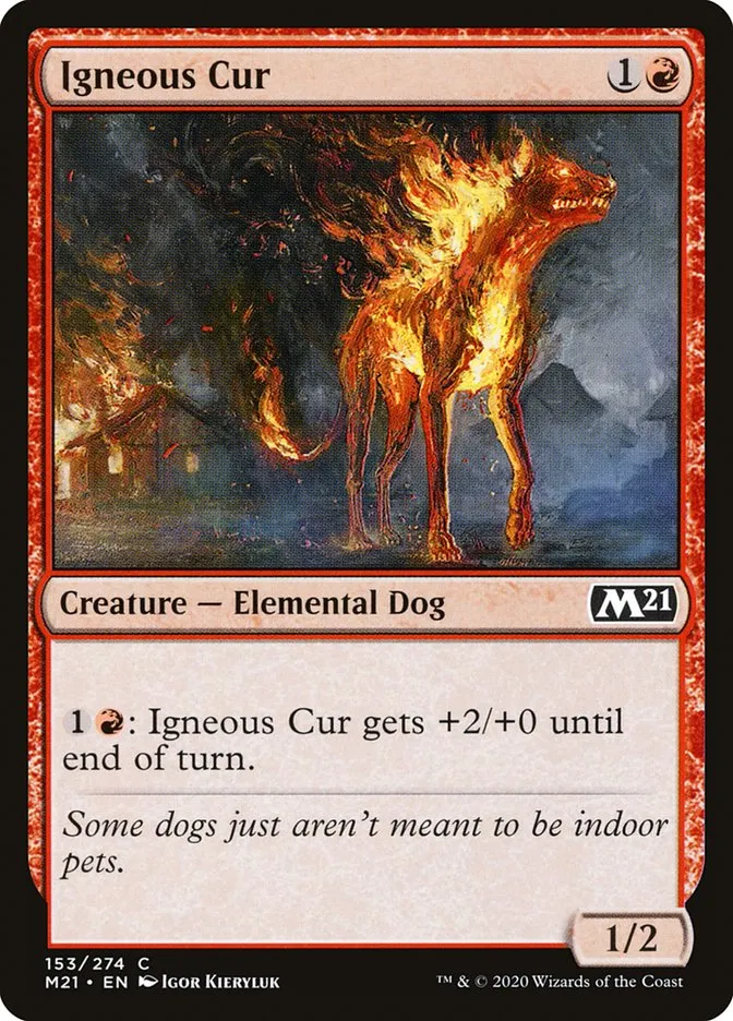 炎血の野犬