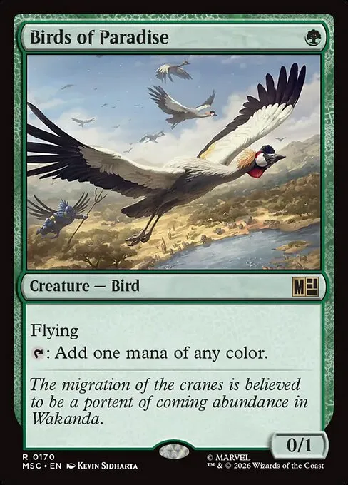 極楽鳥