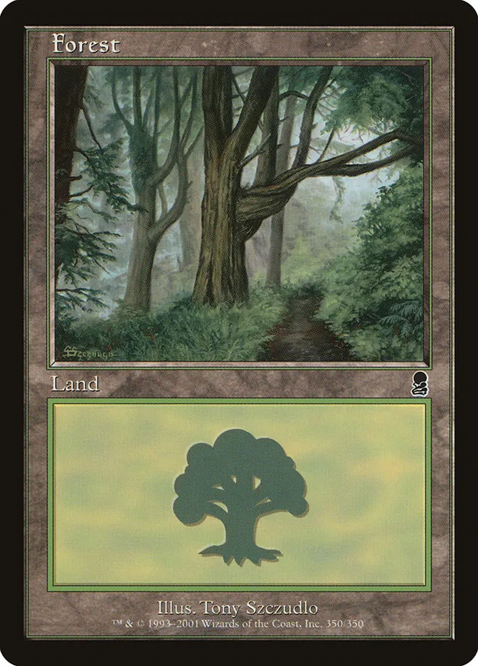 森
