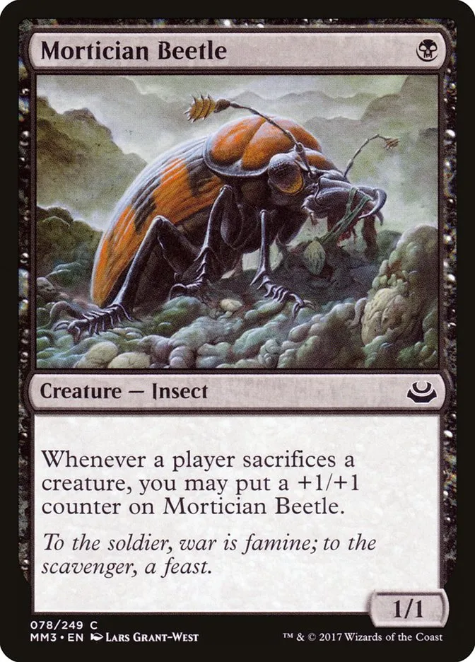 葬儀甲虫