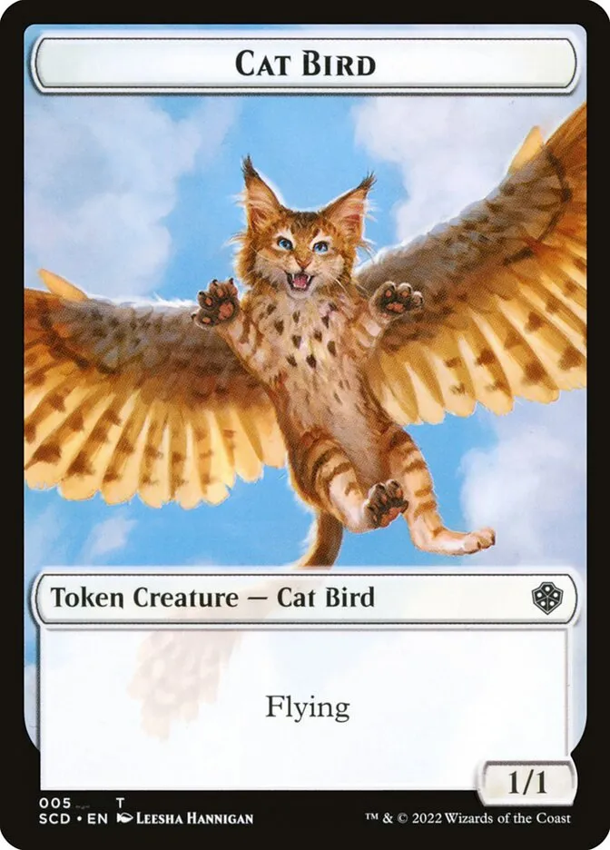 猫・鳥
