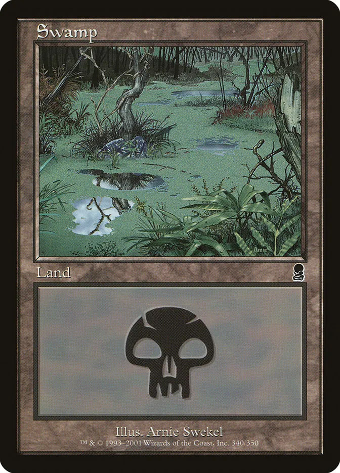 沼