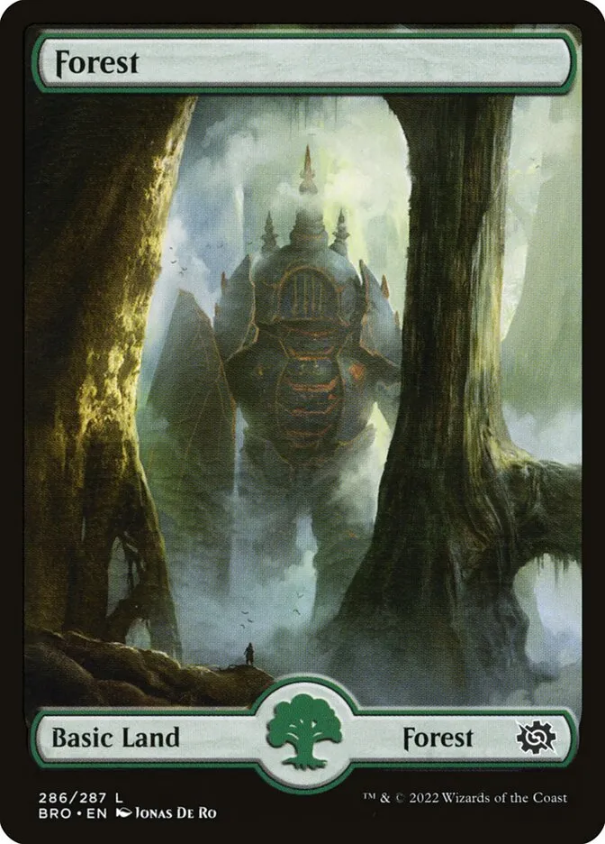森
