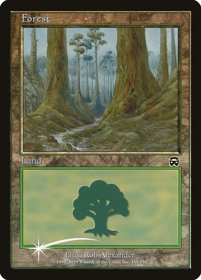 森