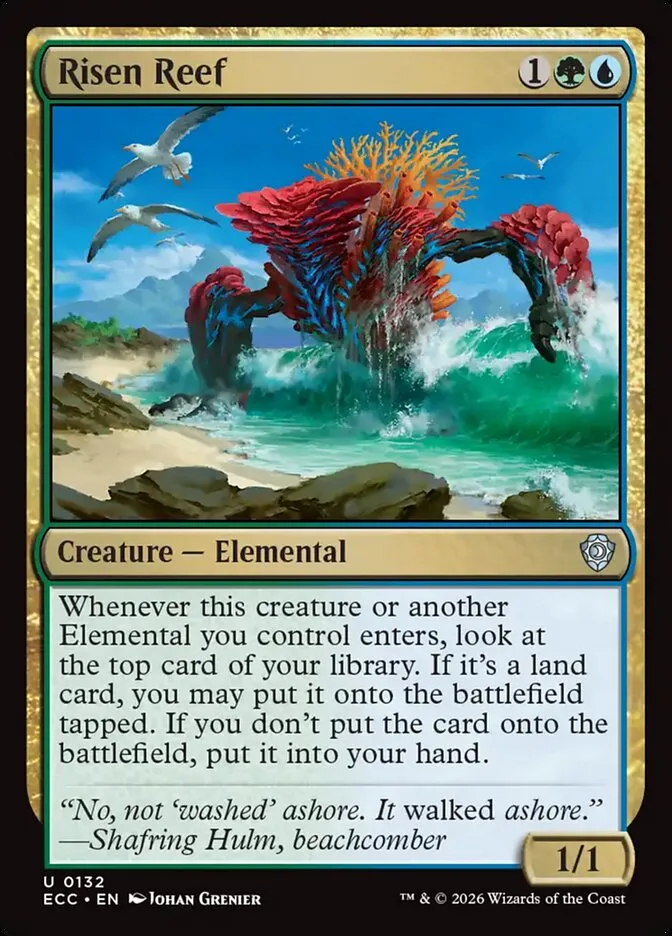 発現する浅瀬