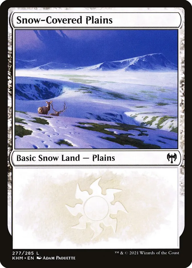 冠雪の平地