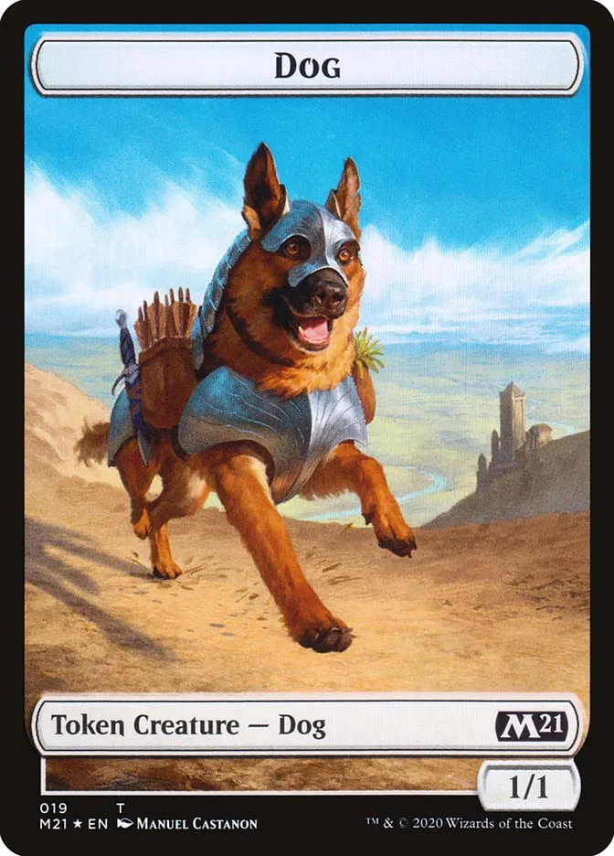 犬