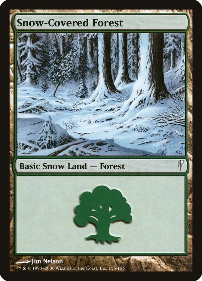 冠雪の森
