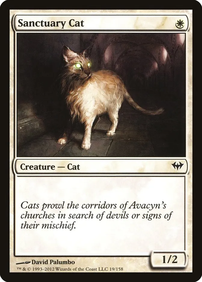 聖所の猫