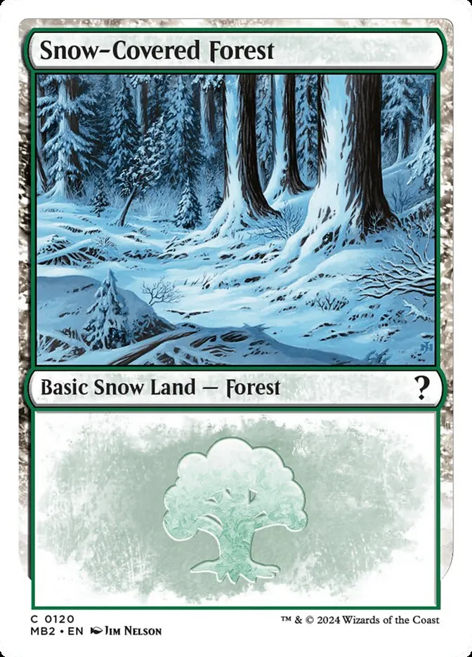 冠雪の森