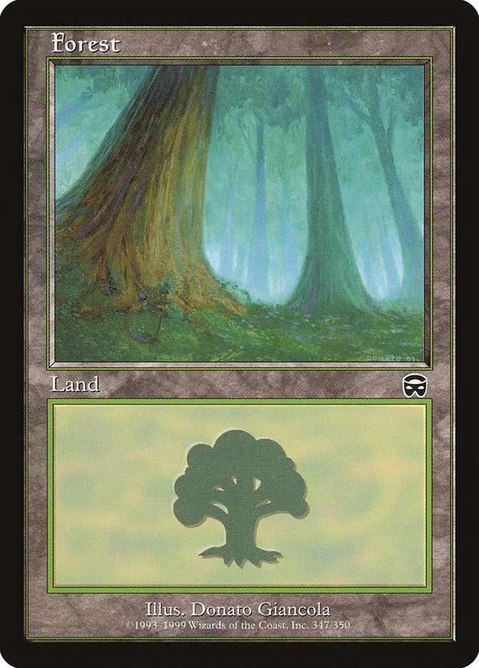 森