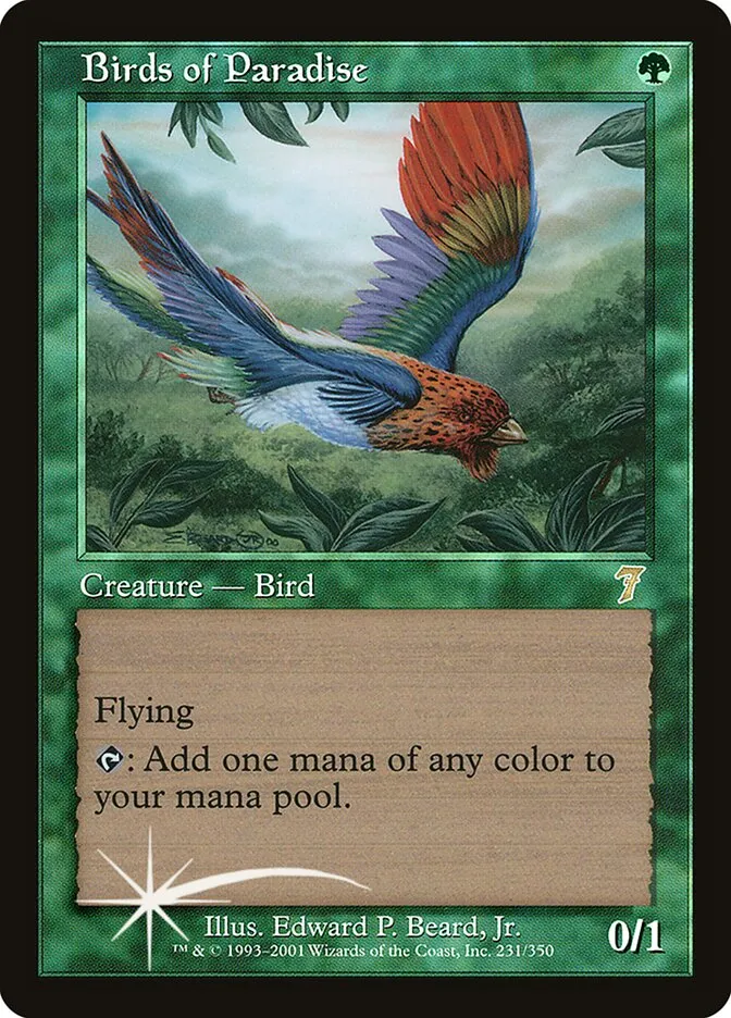 極楽鳥