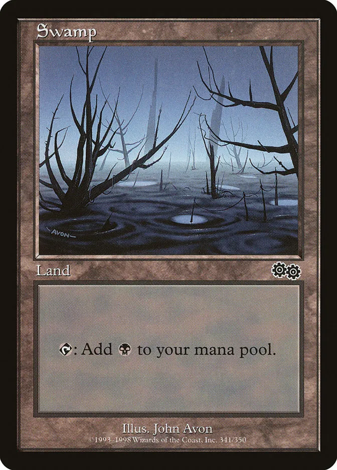 沼