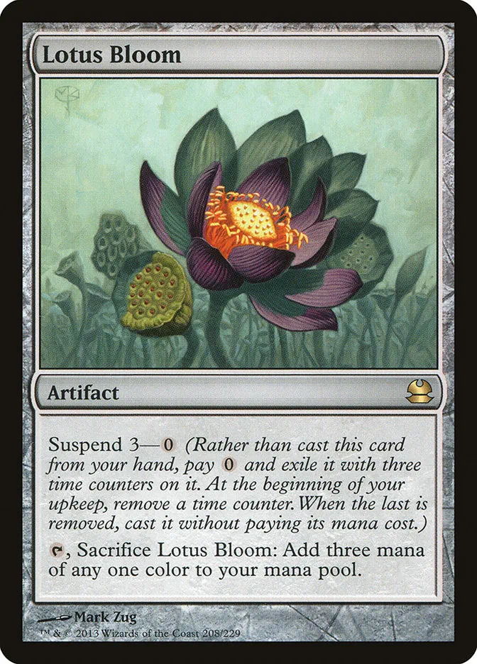 睡蓮の花