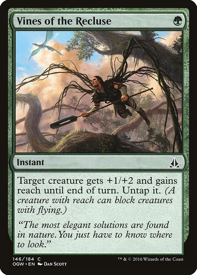 イトグモの蔦