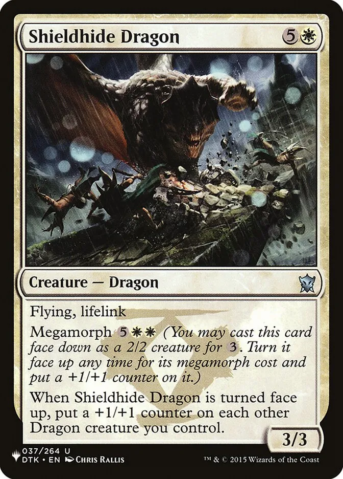 盾皮のドラゴン