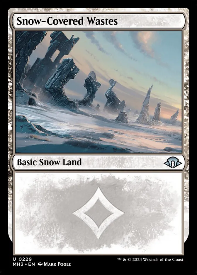 冠雪の荒地