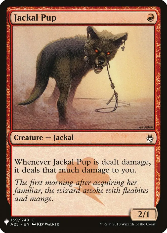 ジャッカルの仔