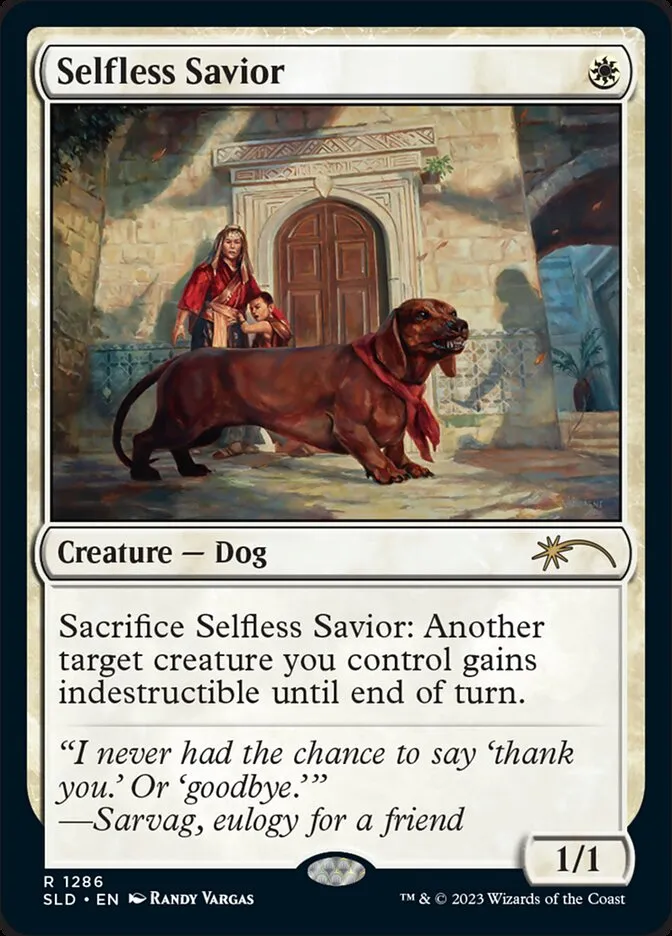 無私の救助犬