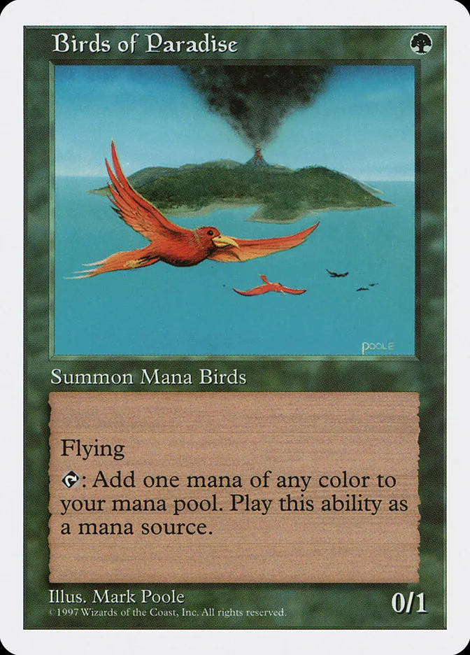 極楽鳥