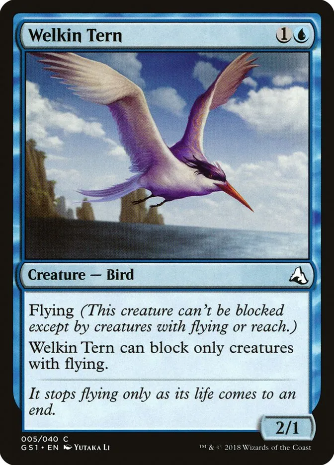 天空のアジサシ