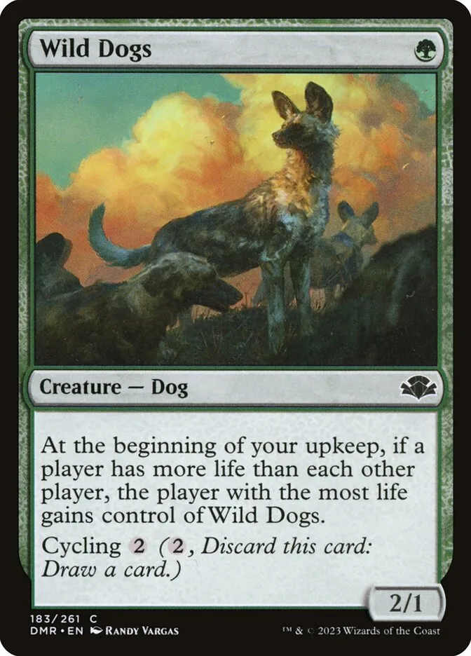 野生の犬