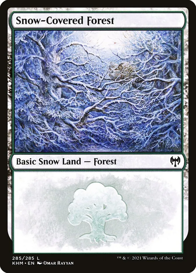 冠雪の森