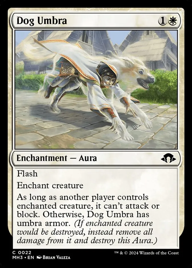 犬の陰影