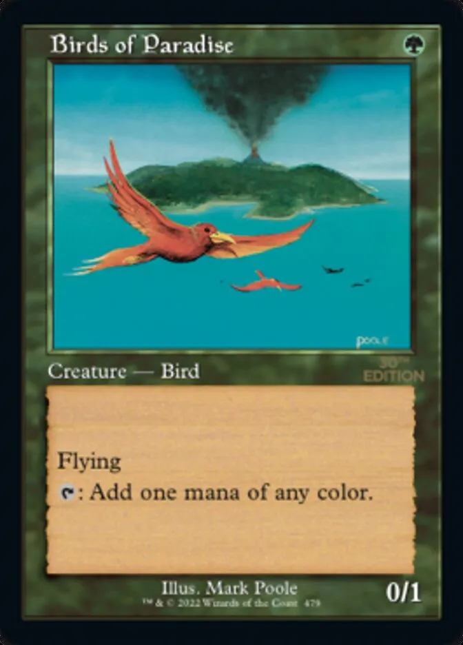 極楽鳥