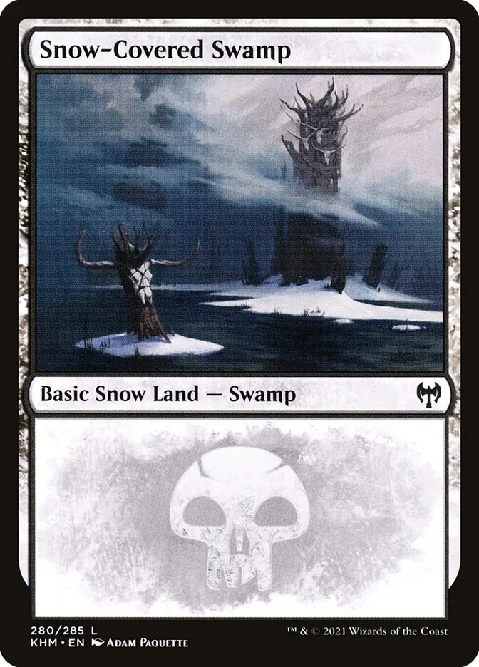 冠雪の沼