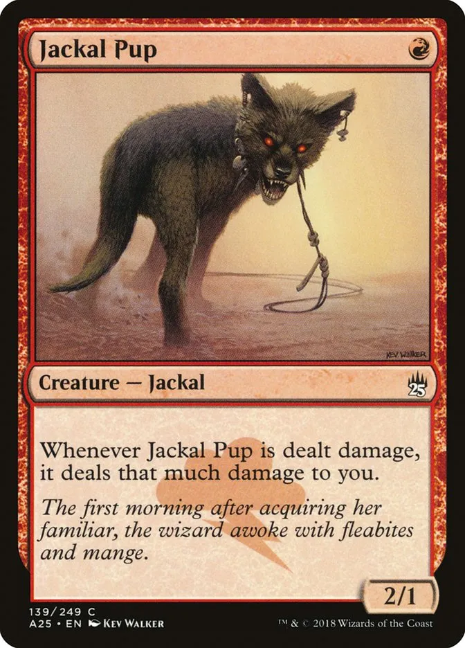 ジャッカルの仔