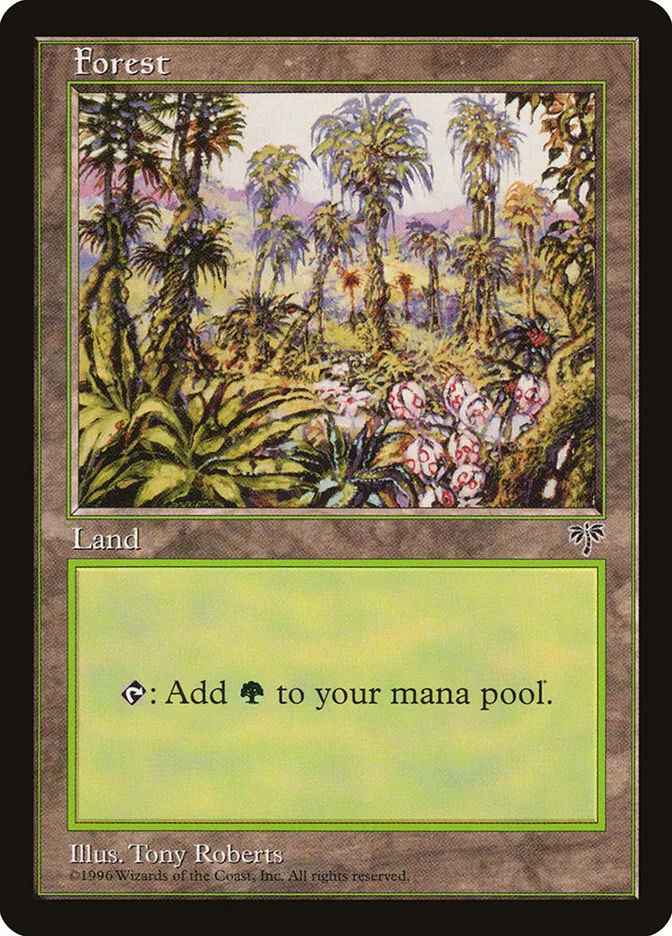 森