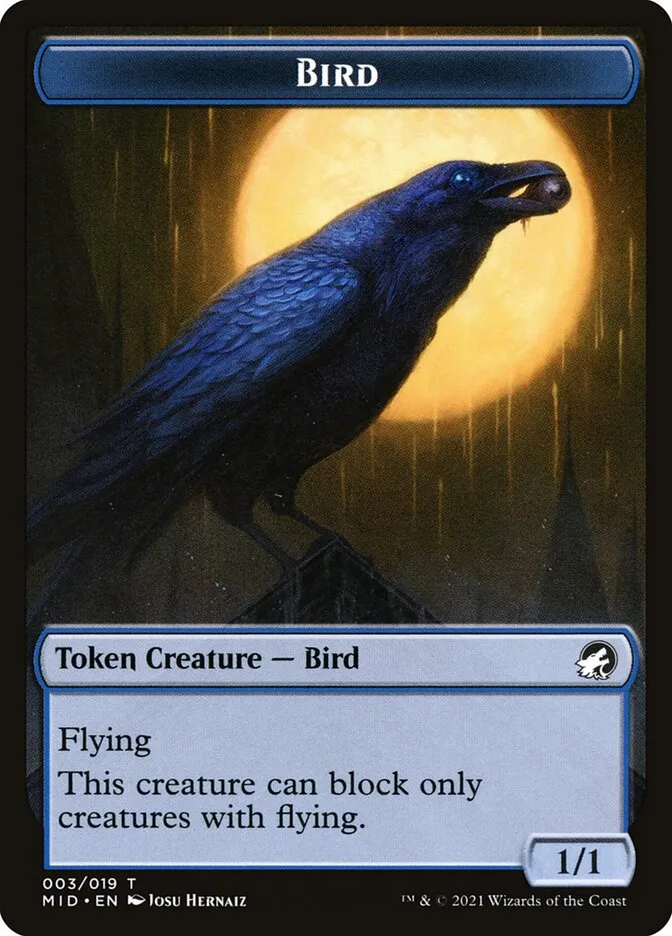 鳥