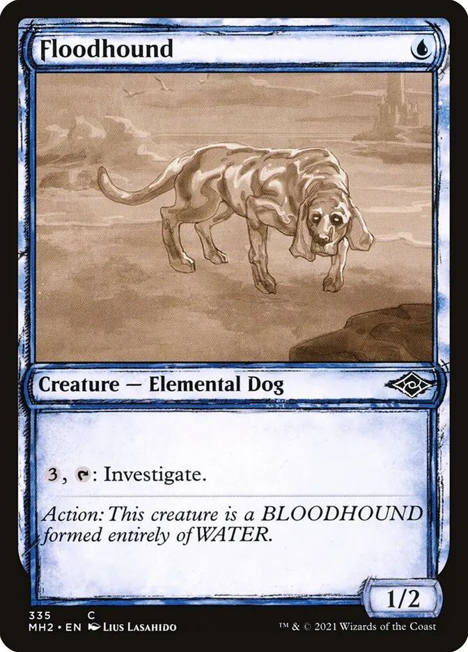 氾濫犬