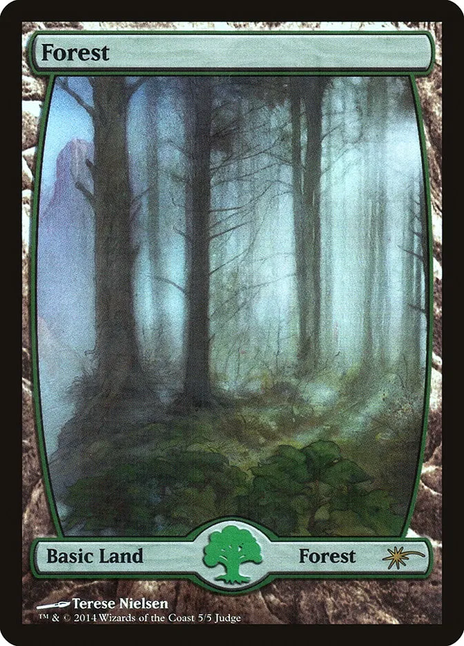 森