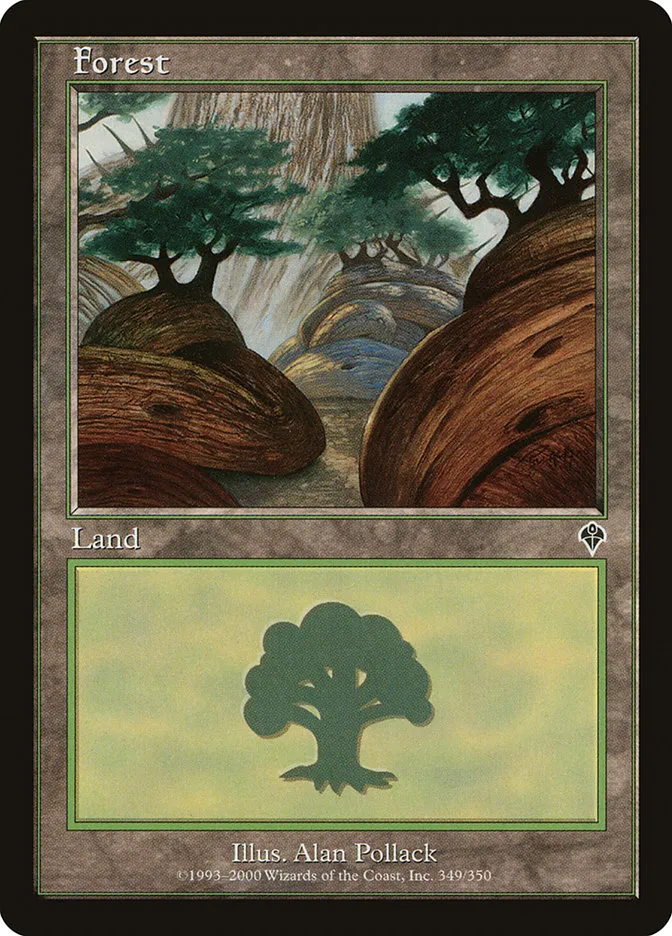 森