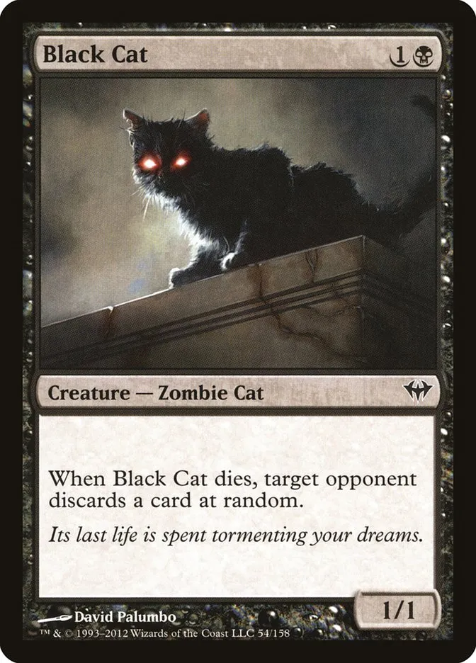 黒猫