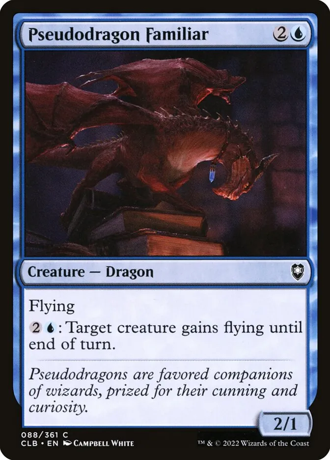 スードゥドラゴンの使い魔