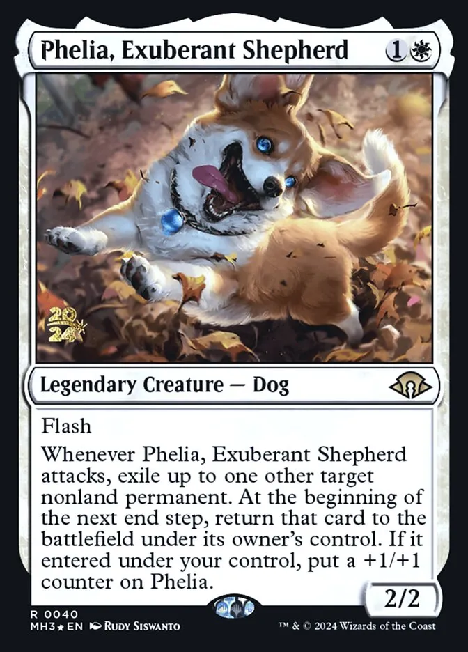 溌剌の牧羊犬、フィリア