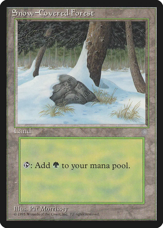 冠雪の森
